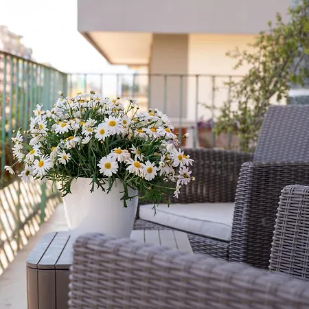 Affittacamere Libertà #102 - Palermo